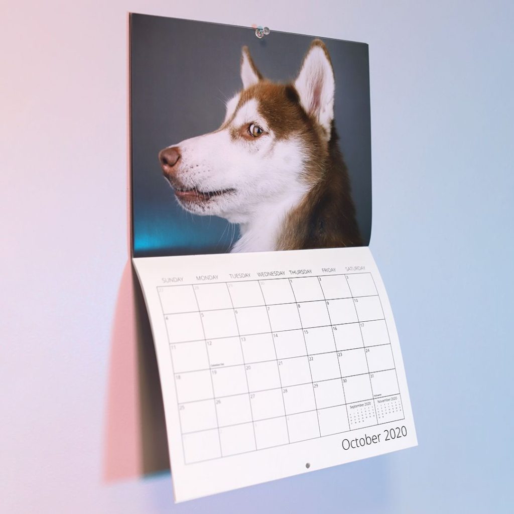 Dog calendars